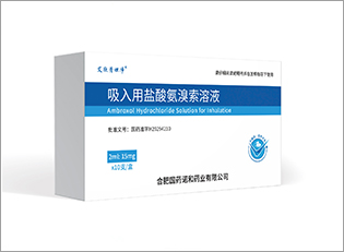 吸入用盐酸氨溴索溶液
